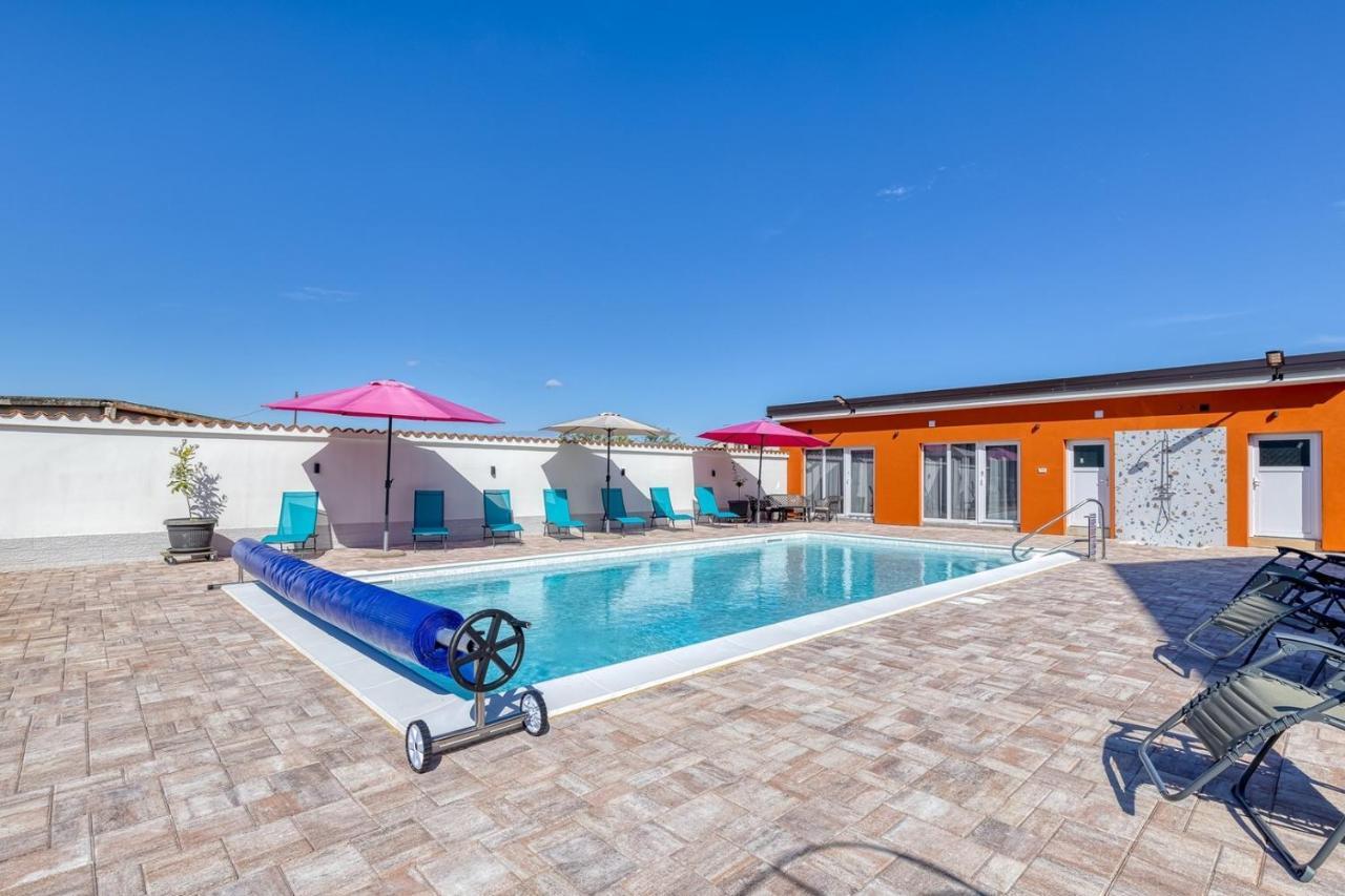 Danka With Shared Pool