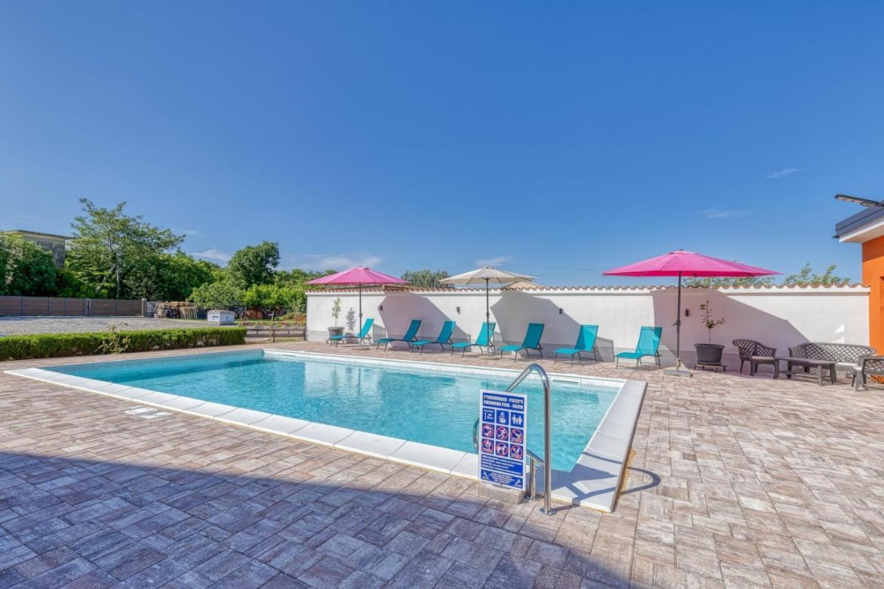 Danka With Shared Pool